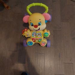 Walker Push Toy