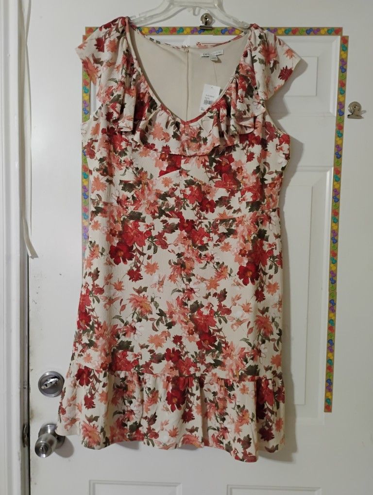 Woman's Dress 18/20 $10