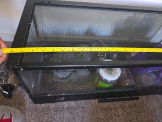 Bearded dragon reptile tank with light/food 30 inch