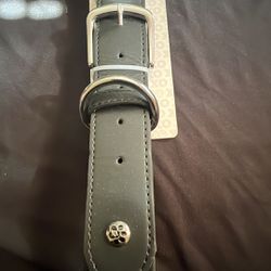 Extra Large Padded Leather Dog Collar 