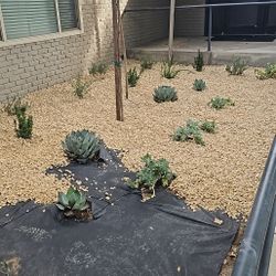 Design For Land Scapes