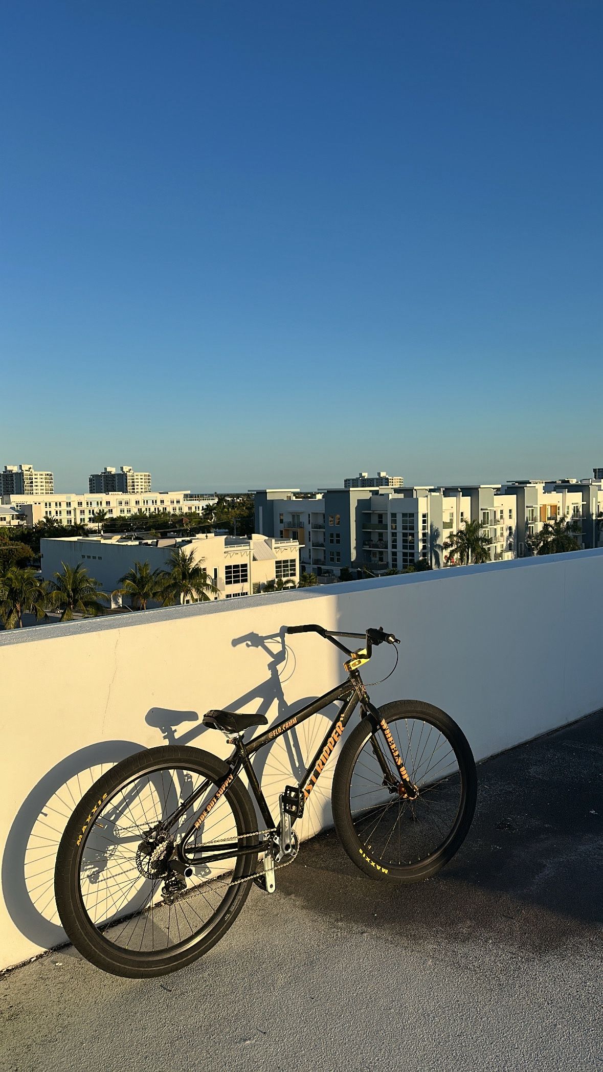 Se Bikes 2021 Fast Ripper 29