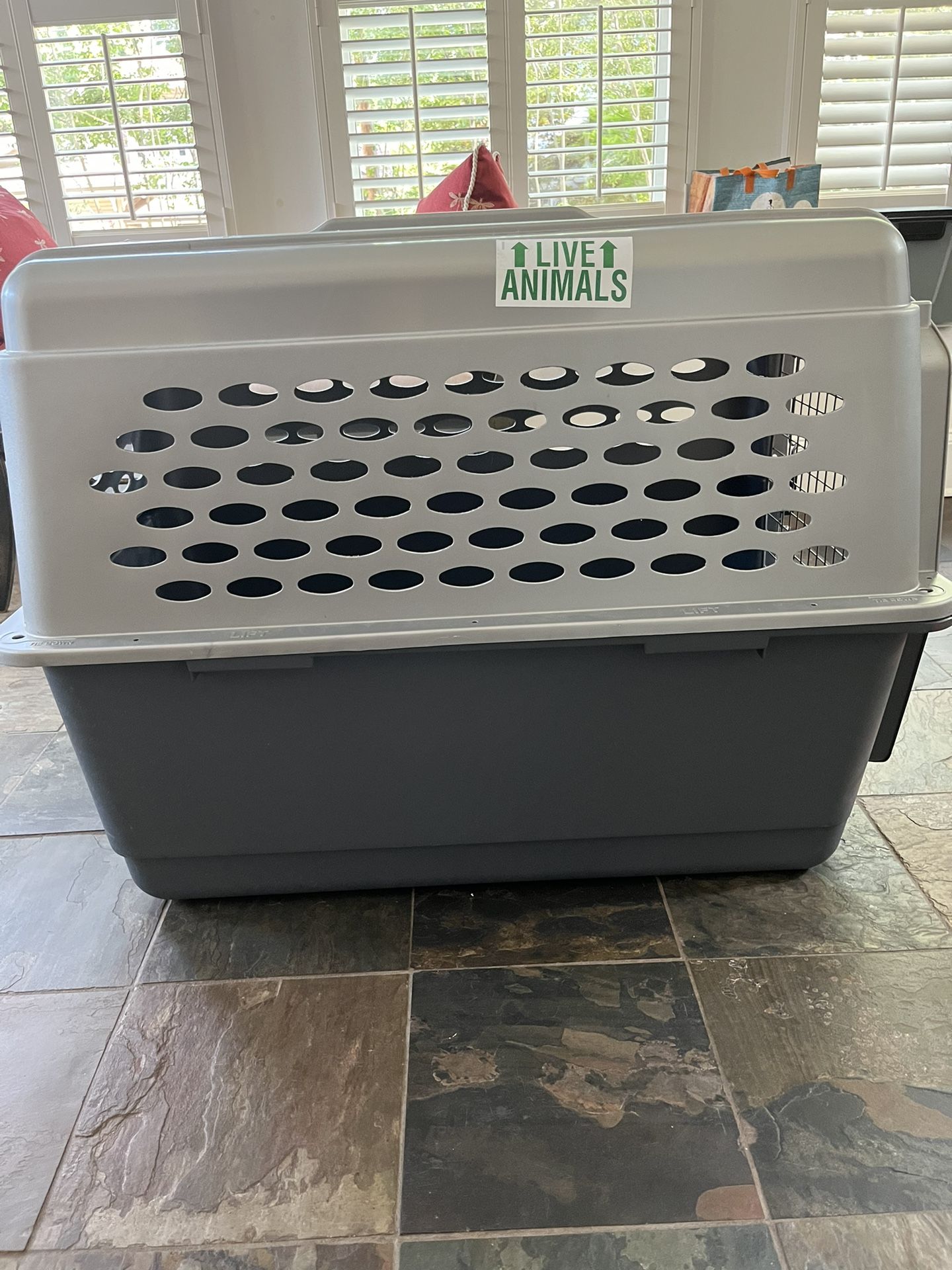 thumbnail image 2 of Asixxsix Airline Approved Plastic Dog Kennel - 19.7x13x12.2 Inches, Purple, With Top Window & Handle For Small Pets 2 of 12