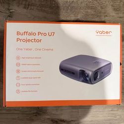 Projector with screen mirroring