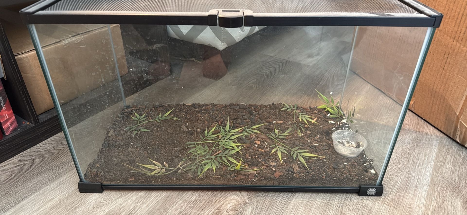 Reptile tank