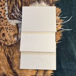3 Blank Canvases