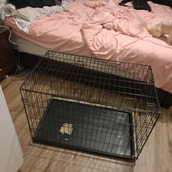 Large Dog Cage