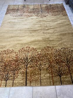 Thick 8x10  traditional area rug