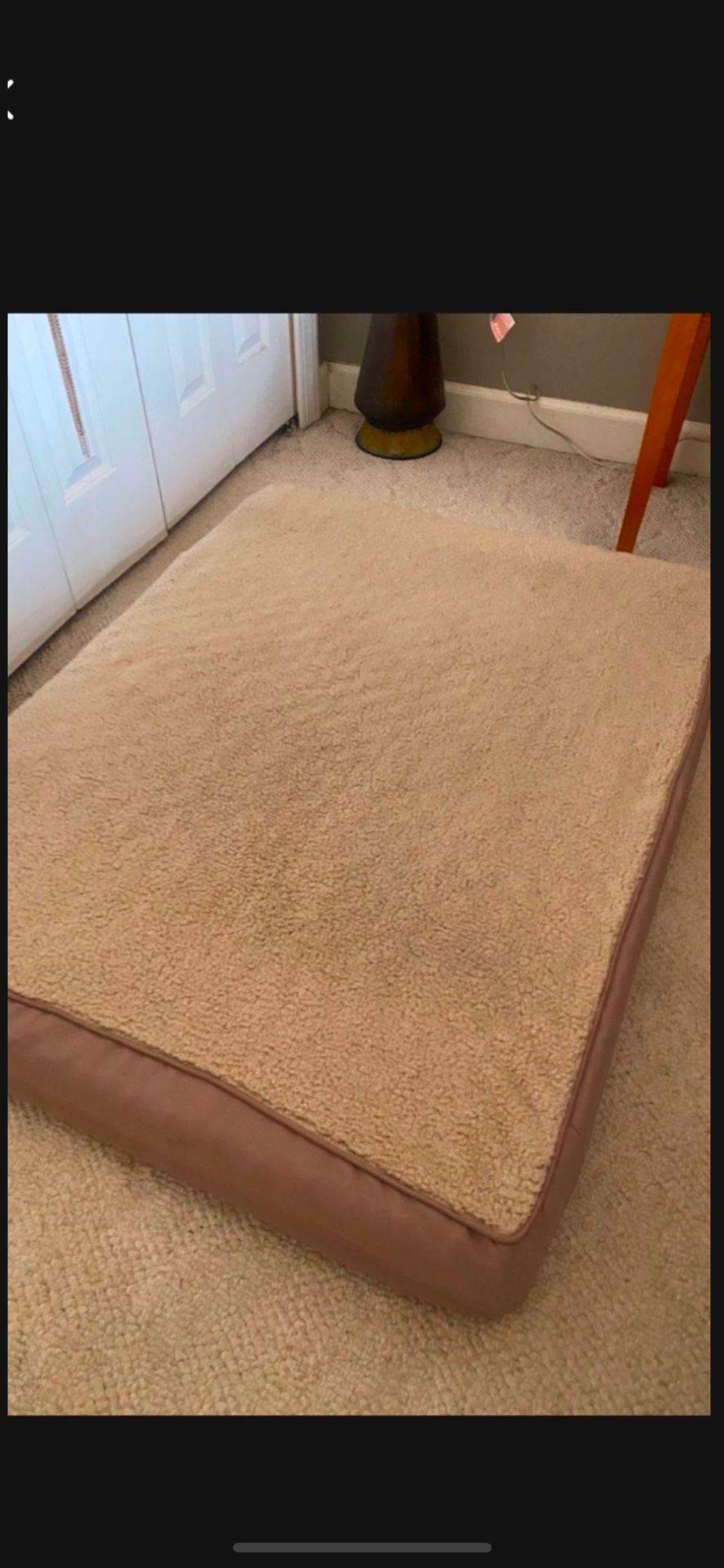 DOG BED