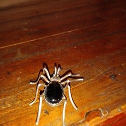 Sterling Silver Spider Brooch Onyx Belly Signed E Spencer Navajo 