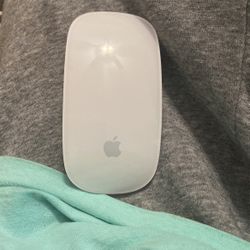 Apple Mouse 