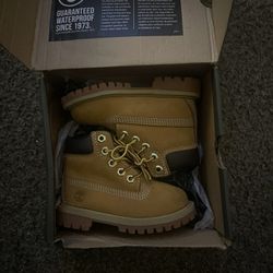 Toddler Timberland 