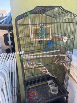 Bird cage
