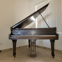 5'4 Grand Piano