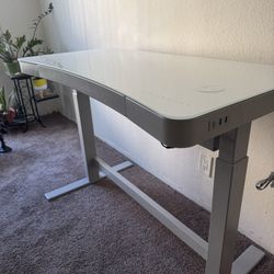 Tresanti Adjustable Height Desk