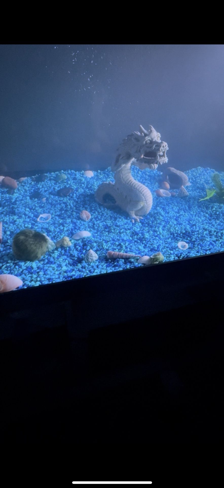 Fish Tank