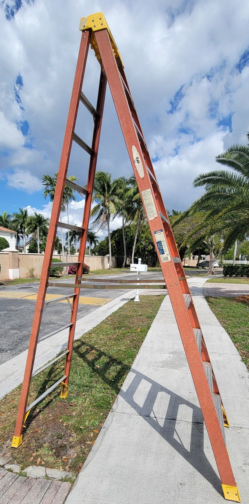 Warner 10ft Ladder