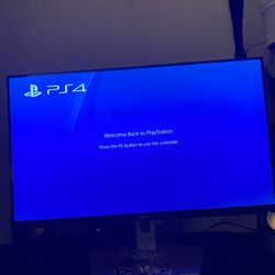 Computer Monitor 