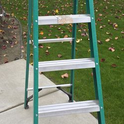 Werner 6 Ft Fiberglass Ladder