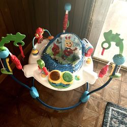 Baby Einstein Jumper