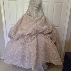 Stunning Champagne Ball Gown 