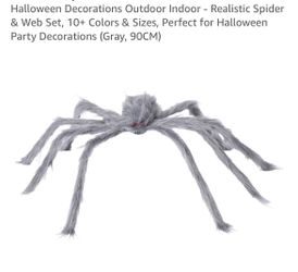 Big spiders