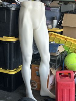 Lower Male mannequin body