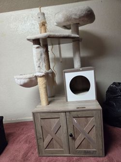 Pets supplies