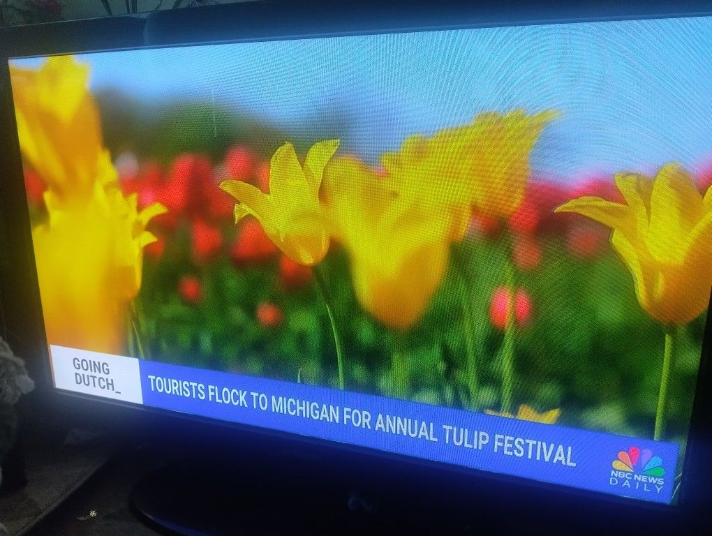 Samsung Plasma Display 50"