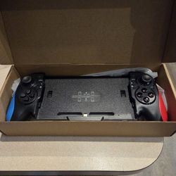 Nintendo Switch Controller 