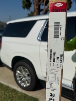 LARSON STORM DOOR WITH PET DOOR