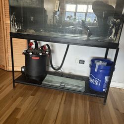 Standard 75 Gallon Fish Tank With Stand  ONLY