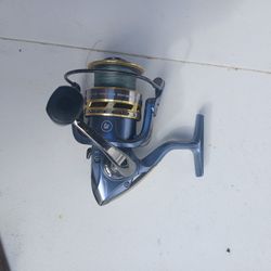 Pflugerville President Spinning Reel 
