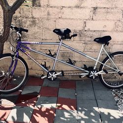 Duet bike