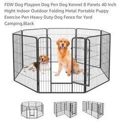 Dog Enclosure