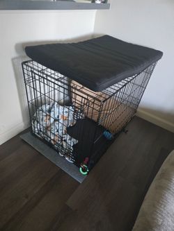 New Large Dog Crate from Petco