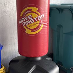 Standing Punching bag