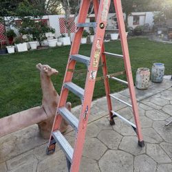 Werner 6ft Fiberglass Ladder 
