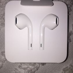 Apple Earphones