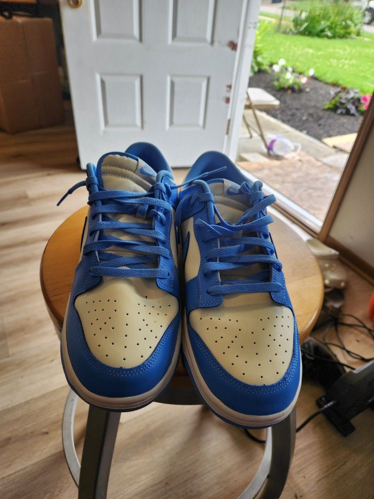 Nike Low Dunk Brand New