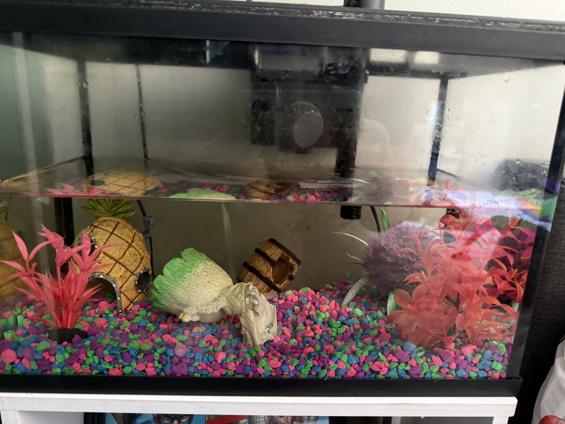Fish tank