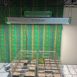 VSX1600 Full Spectrum LED Grow Light