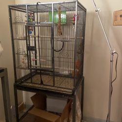 Bird Cage 