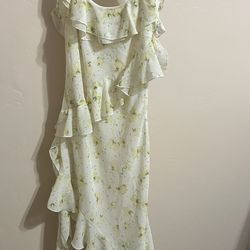 Green Spring Dress