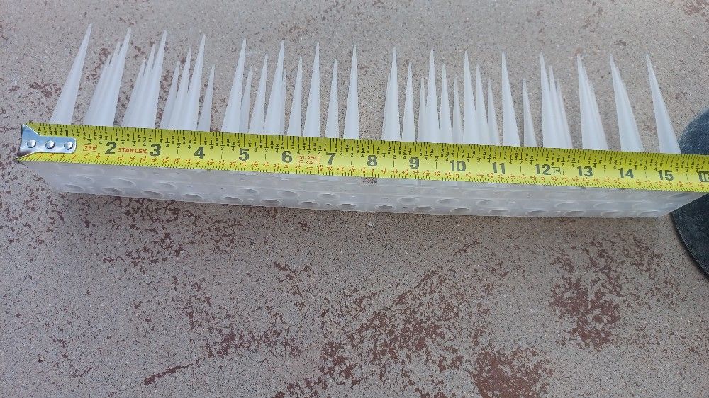 Bird Spikes