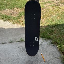 Skate Board 
