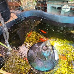 Pond Liner  7'14"x4'5"