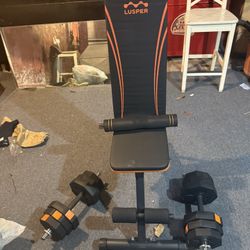 Weight Bench With Dumbbells 