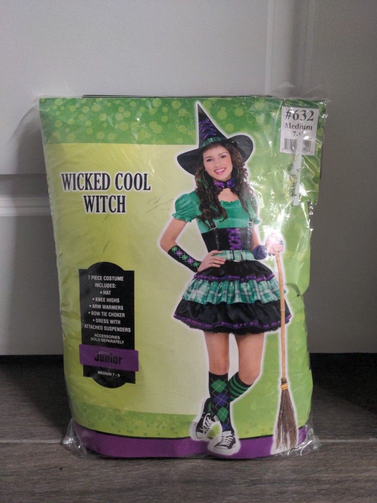 Wicked Witch Costume