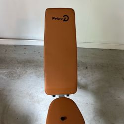 New Work Out Bench 